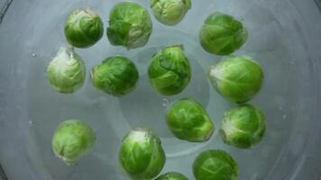 Brussels sprouts float in plate with water video