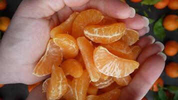 Slices of clementines in hands video