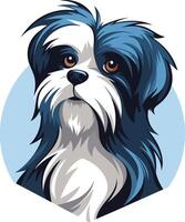 Portrait of a Shih Tzu Dog with Blue and White Fur vector