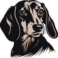 Portrait of a Dachshund vector