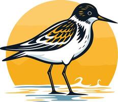 A stylized illustration of a sandpiper bird standing on a beach with a sun setting in the background vector