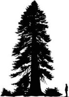 A striking silhouette of a towering pine tree with a lone person standing in the foreground, evoking a sense of vastness and perspective vector