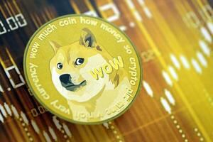 KYIV, UKRAINE - AUGUST 17, 2024 DOGE Meme coin on dark cryptocurrency digital trading chart in golden yellow colors photo