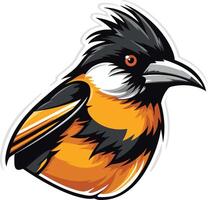 A bold and stylized illustration of a black, orange, and white bird with a sharp beak vector