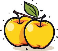 A cartoon illustration of two yellow apples with a green leaf on a white background vector
