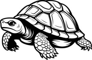 A detailed black and white illustration of a turtle, perfect for adding a touch of nature to your design projects vector