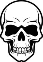 A simple yet striking illustration of a human skull, perfect for adding a touch of darkness to your designs vector