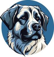 A bold, graphic illustration of a majestic great pyrenees dog's head, set against a vibrant blue circular background vector