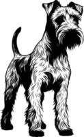 Black and white illustration of a wirehaired terrier standing, ready for use in designs, illustrations, and branding projects vector