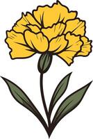A simple yet elegant illustration of a yellow carnation flower with green leaves vector