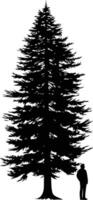 A striking silhouette of a towering pine tree with a person standing beneath it vector