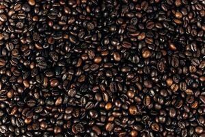 a lot of coffee beans on a wooden background. background and space for text photo