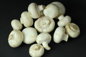 champignon mushrooms on a black background. space for text photo