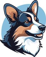 Smiling Corgi with Blue Background vector
