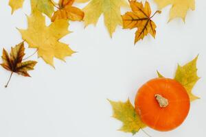 Autumn still life, leaves pumpkin on a white background, place for text photo