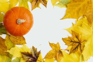Autumn still life, leaves pumpkin on a white background, place for text photo