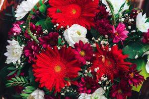 a bouquet of flowers in red colors. gerbera, chrysanthemum, eustoma, gypsophila. Close view photo