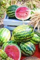 autumn still life. watermelons with fruit picnic in nature. Watermelon photo zone with drawers