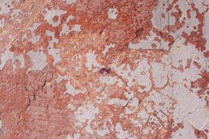 Background of old multicolored cracked paint. Background for designers photo
