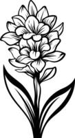 Elegant line art illustration of a single hyacinth flower with leaves vector
