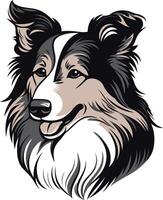 Portrait of a Smiling Collie vector