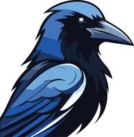 Blue Raven Illustration vector