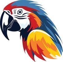 Vibrant Macaw Portrait with Colorful Feathers vector