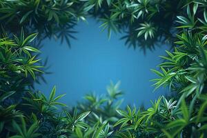 Lush Green Foliage Frame Against Blue Sky - Nature Background Concept for Design, Poster, or Print photo