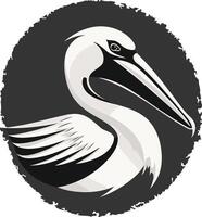 A striking black and white illustration of a pelican's head and neck, perfect for branding, logos, or design projects related to nature, wildlife, or conservation vector
