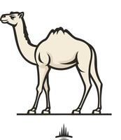 Camel Illustration in a Simple Style vector