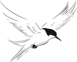 Elegant Black and White Bird in Flight vector