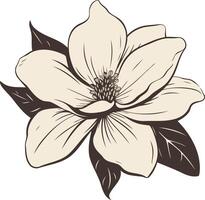 Elegant hand-drawn magnolia flower, perfect for adding a touch of natural beauty to your design projects vector