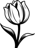 Elegant black and white illustration of a single tulip, perfect for adding a touch of nature to your design vector