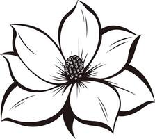 Black and White Line Drawing of a Flower vector