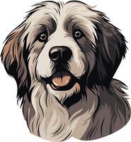 Portrait of a Fluffy Dog with Big Brown Eyes vector