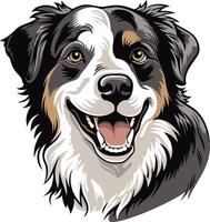 Smiling Australian Shepherd Portrait vector