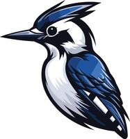 Blue Jay Illustration with Bold Colors and Simple Lines vector