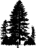 A dramatic silhouette of a lone figure standing before towering pine trees vector