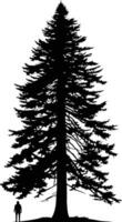 A majestic silhouette of a towering evergreen tree against a white background, emphasizing its grandeur and scale vector