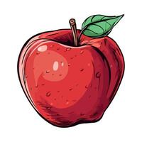 Red apple illustration isolated on white background vector