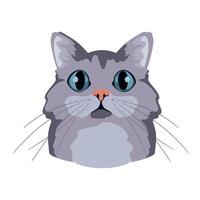 A gray cat with big eyes on a white background vector