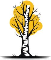 A simple, yet elegant illustration of a birch tree with yellow foliage vector