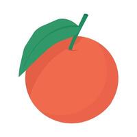 An orange with a leaf on it is shown vector