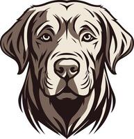 Portrait of a Labrador Retriever vector