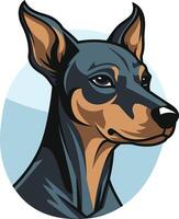 A charming cartoon illustration of a miniature pinscher dog, looking attentively with an expressive face vector