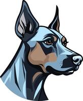 A striking illustration of a doberman pinscher, rendered in a bold and modern style vector