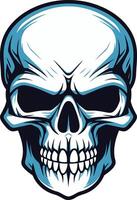 A detailed illustration of a human skull with a menacing expression vector