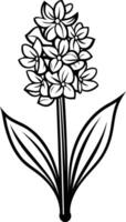 Simple line art illustration of a single hyacinth flower, perfect for adding a touch of nature to your designs vector