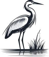 Elegant Heron Standing in Water vector