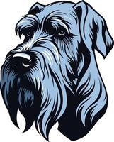 Portrait of a Standard Schnauzer vector
